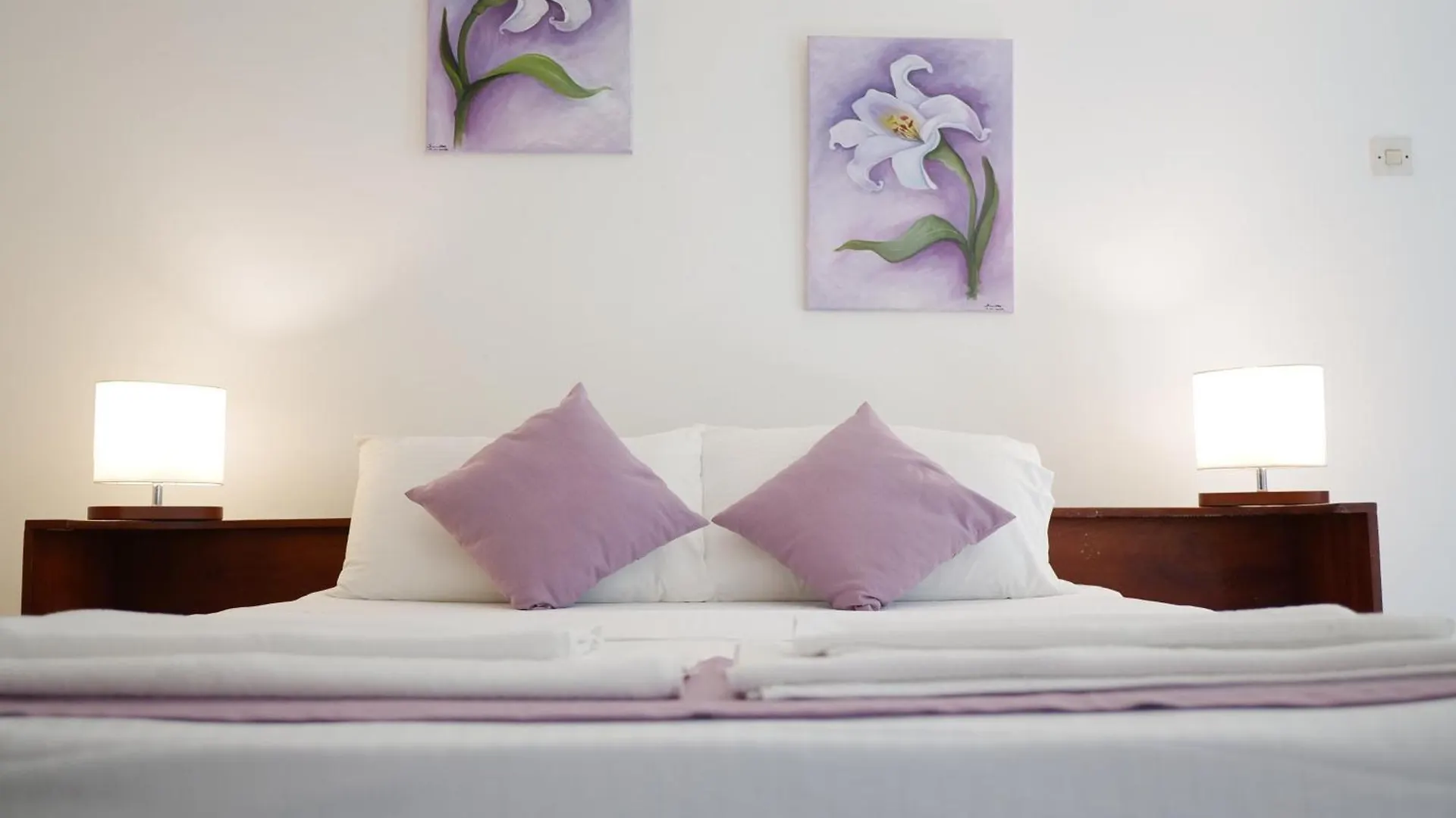 Guest house Elegance Oasis, Colombo 3 Hotel